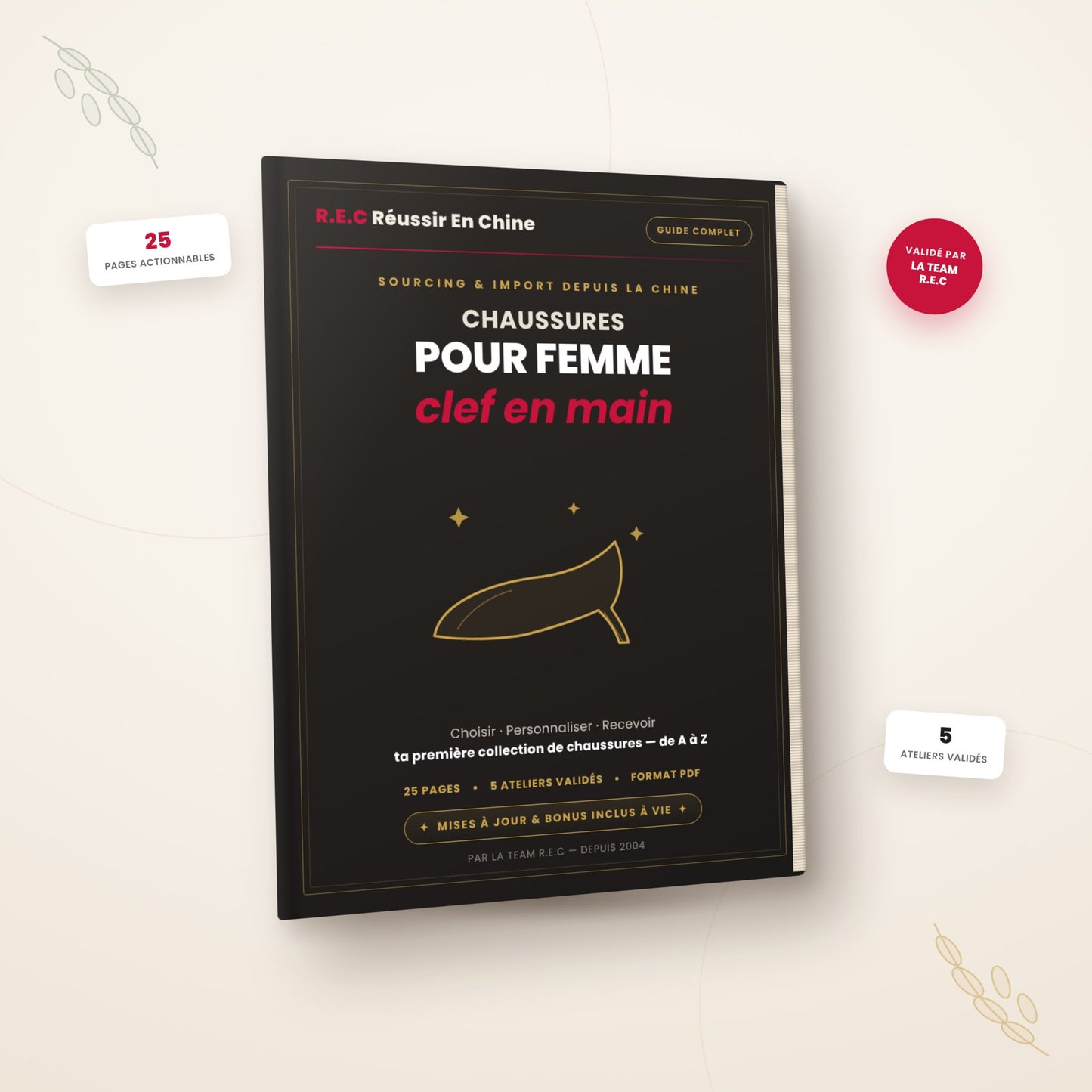 Ton business de chaussures pour femmes clef en main